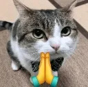 prays