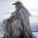 erosion_bird