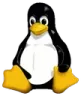 Linux Linux