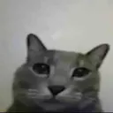 ca0