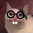 nerdcat
