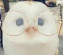Acktualhy