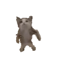 cat_dance