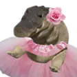 gatorPrettySits