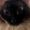 stare stare