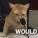 Would