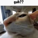Guh