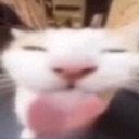 Bleh