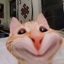 as_hehe_goldmm as_hehe_goldmm
