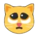 catpleadLMAO Discord Emoji