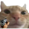 SwagGun