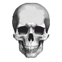 RaelSkull