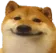 dogecoin