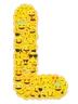 lose