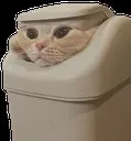 trashcat