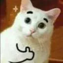cat_thumbs_up