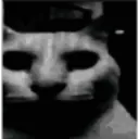 uncannyCat uncannyCat