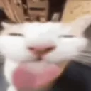 mep