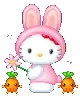 000hellokittybunny