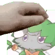felpat