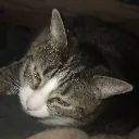 BooperSleep