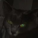 SmokeyStare