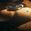 fnaf fnaf