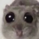 ImJustALilGuy