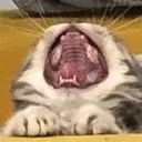 AAAAA