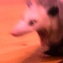 ratscream