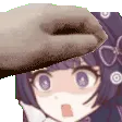RiriPet