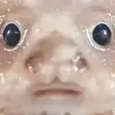 stare