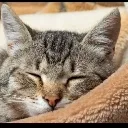 eepy