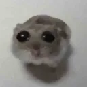UwU