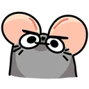 catrat
