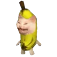 catbanan