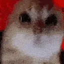 RAGEY