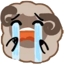 sheepsob