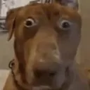 Fear