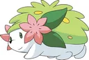 shaymin