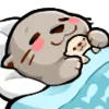 otter_sleep