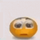 z_holymoly