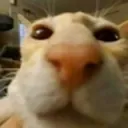 __