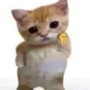 yaya