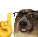 Dnerd