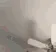 cat_punch