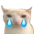 :3_bruhcatsad: 3_bruhcatsad