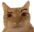 :3_CanISeeYourBallsFrown: 3_CanISeeYourBallsFrown