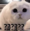HUH