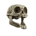 Meme_Skull_7